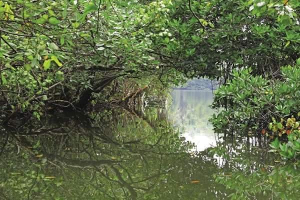 Sithu Villa Hikkaduwa Esterno foto